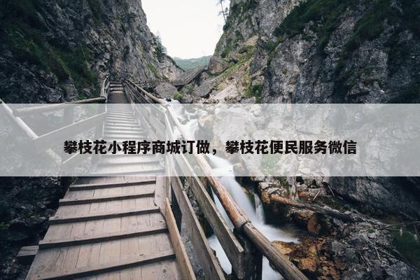 攀枝花小程序商城订做，攀枝花便民服务微信