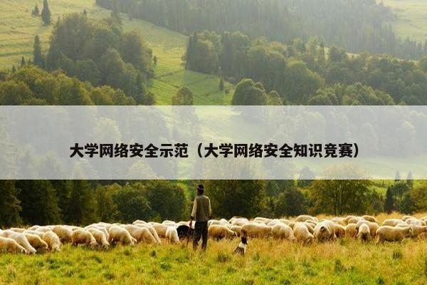 大学网络安全示范（大学网络安全知识竞赛）