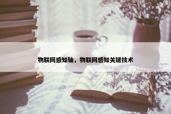 物联网感知轴，物联网感知关键技术
