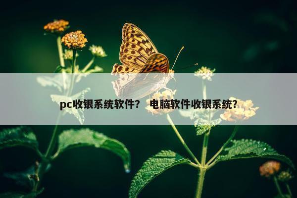 pc收银系统软件？ 电脑软件收银系统？