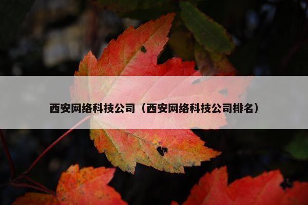 西安网络科技公司（西安网络科技公司排名）