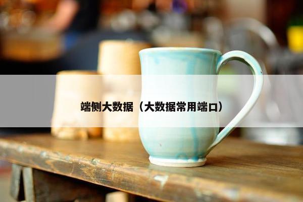 端侧大数据（大数据常用端口）