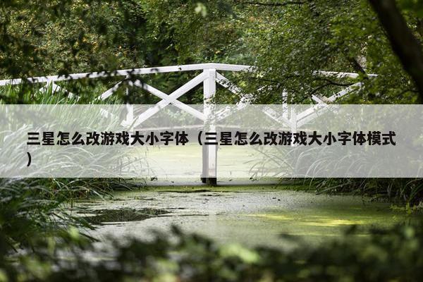 三星怎么改游戏大小字体（三星怎么改游戏大小字体模式）