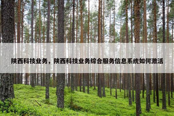 陕西科技业务，陕西科技业务综合服务信息系统如何激活
