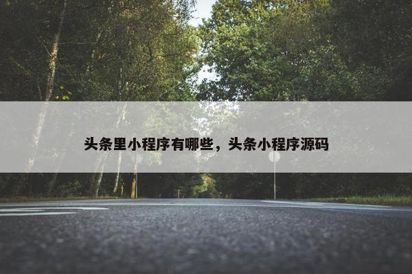 头条里小程序有哪些，头条小程序源码