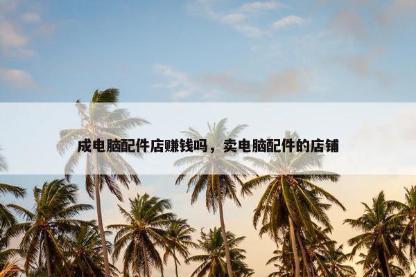 成电脑配件店赚钱吗，卖电脑配件的店铺