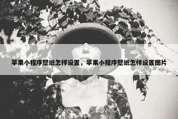 苹果小程序壁纸怎样设置，苹果小程序壁纸怎样设置图片