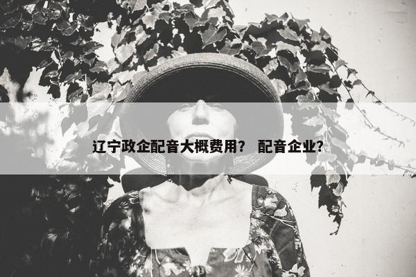 辽宁政企配音大概费用？ 配音企业？