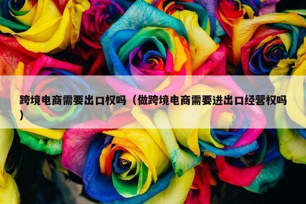 跨境电商需要出口权吗（做跨境电商需要进出口经营权吗）