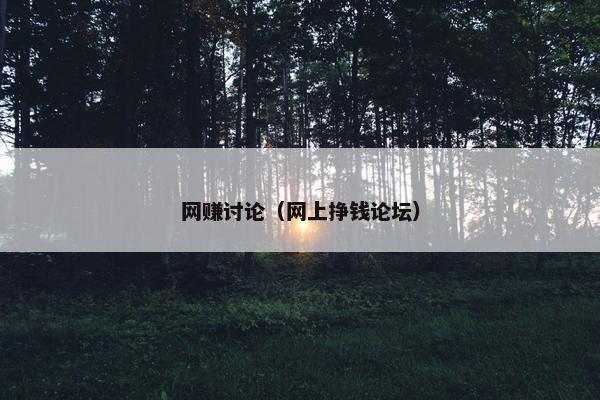 网赚讨论（网上挣钱论坛）