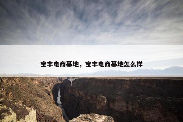 宝丰电商基地，宝丰电商基地怎么样