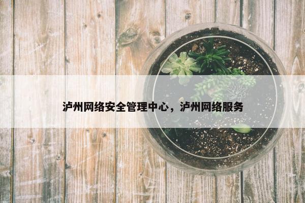泸州网络安全管理中心，泸州网络服务