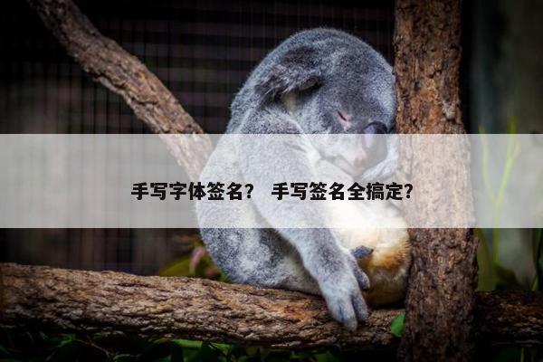 手写字体签名？ 手写签名全搞定？