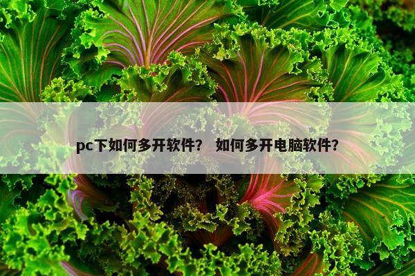 pc下如何多开软件？ 如何多开电脑软件？
