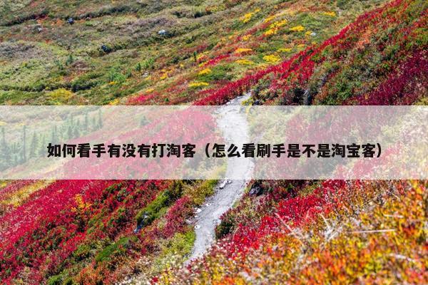 如何看手有没有打淘客（怎么看刷手是不是淘宝客）