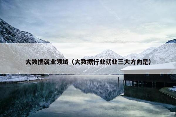 大数据就业领域（大数据行业就业三大方向是）