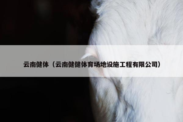 云南健体（云南健健体育场地设施工程有限公司）