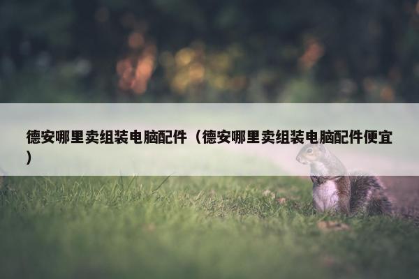德安哪里卖组装电脑配件（德安哪里卖组装电脑配件便宜）