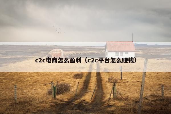 c2c电商怎么盈利（c2c平台怎么赚钱）