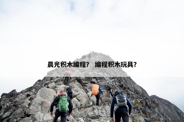 晨光积木编程？ 编程积木玩具？