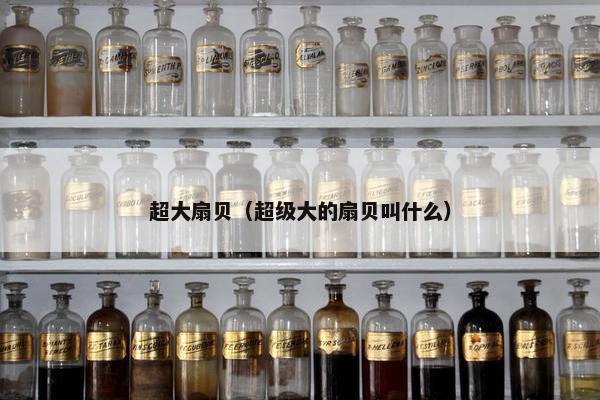 超大扇贝（超级大的扇贝叫什么）