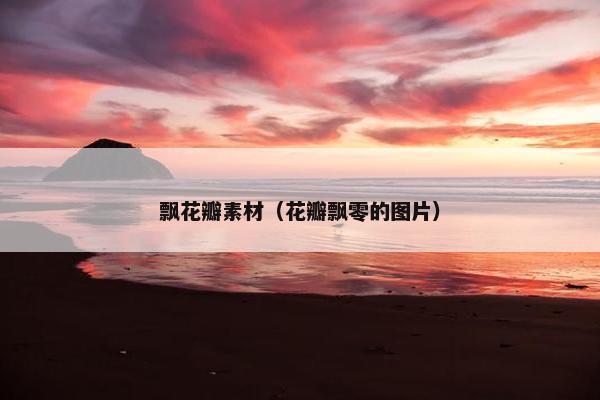 飘花瓣素材（花瓣飘零的图片）