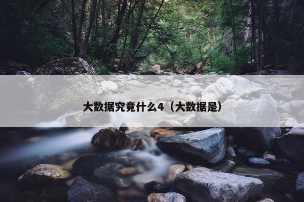 大数据究竟什么4（大数据是）