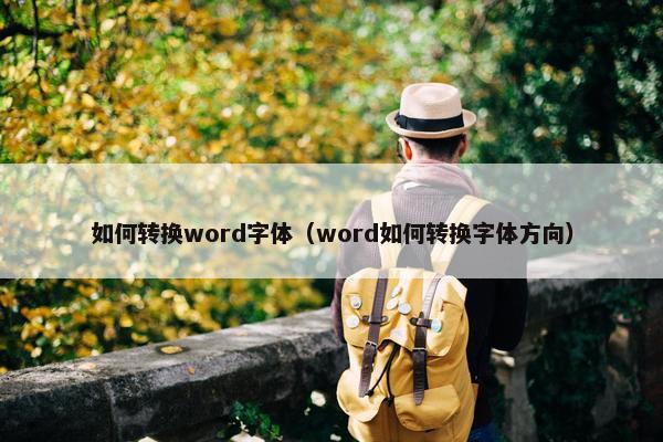 如何转换word字体（word如何转换字体方向）