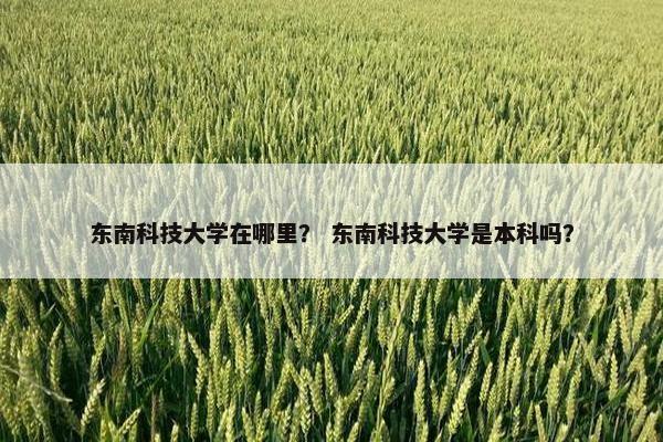 东南科技大学在哪里？ 东南科技大学是本科吗？
