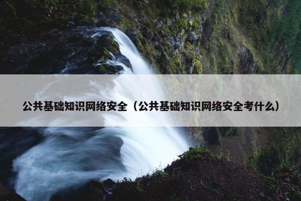 公共基础知识网络安全（公共基础知识网络安全考什么）