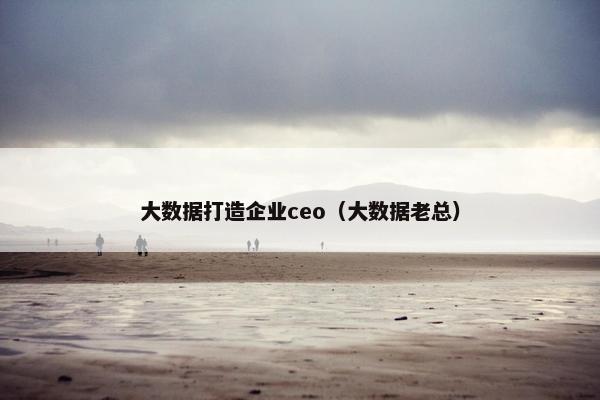 大数据打造企业ceo（大数据老总）