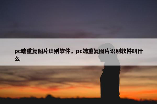 pc端重复图片识别软件，pc端重复图片识别软件叫什么