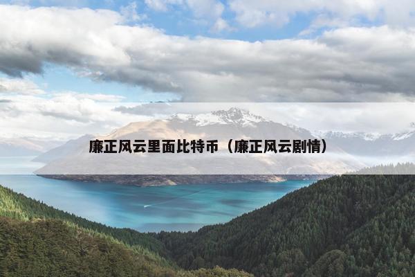 廉正风云里面比特币（廉正风云剧情）