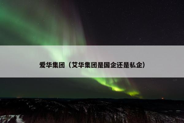 爱华集团（艾华集团是国企还是私企）