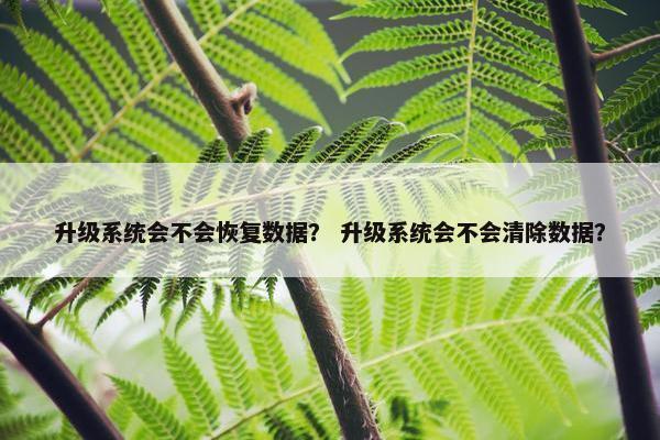 升级系统会不会恢复数据？ 升级系统会不会清除数据？