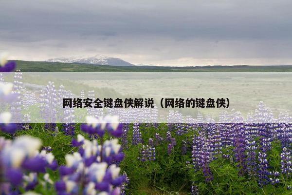 网络安全键盘侠解说（网络的键盘侠）