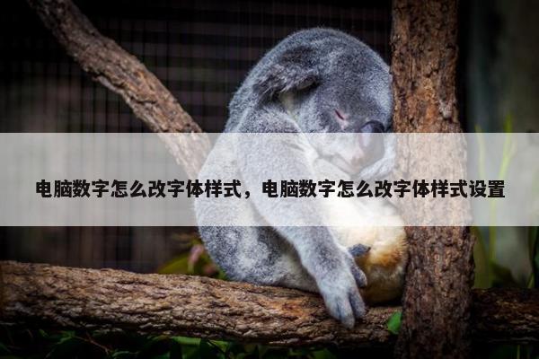 电脑数字怎么改字体样式，电脑数字怎么改字体样式设置