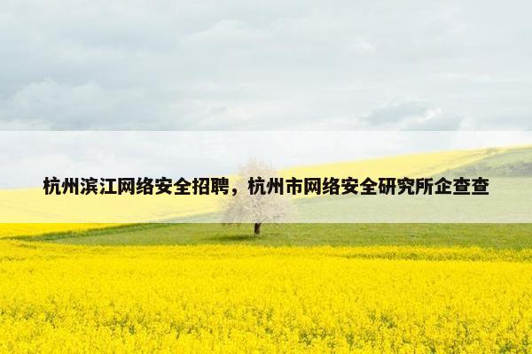 杭州滨江网络安全招聘，杭州市网络安全研究所企查查