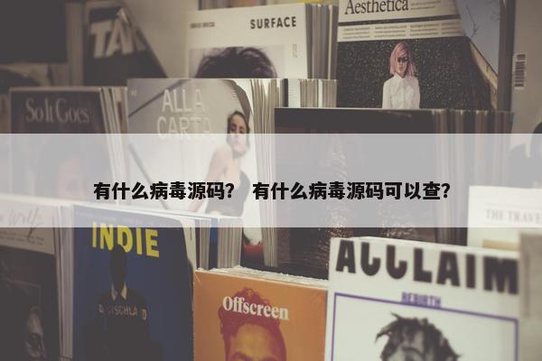 有什么病毒源码？ 有什么病毒源码可以查？