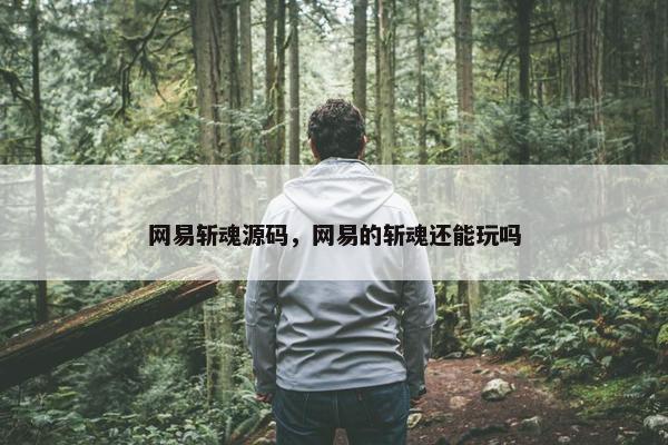 网易斩魂源码，网易的斩魂还能玩吗
