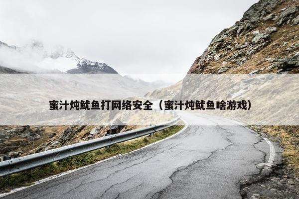 蜜汁炖鱿鱼打网络安全（蜜汁炖鱿鱼啥游戏）