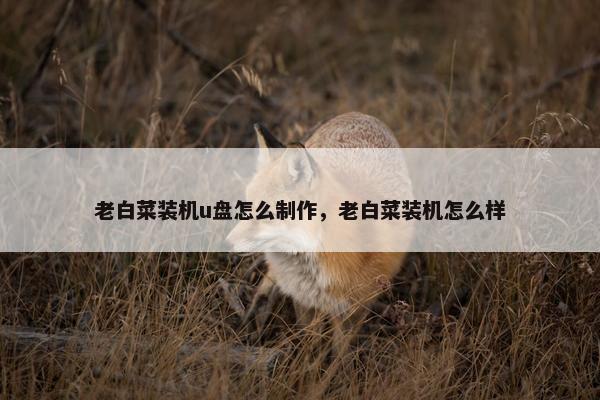 老白菜装机u盘怎么制作，老白菜装机怎么样