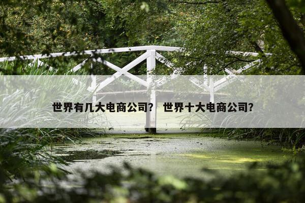 世界有几大电商公司？ 世界十大电商公司？