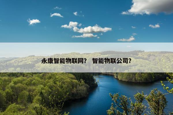 永康智能物联网？ 智能物联公司？