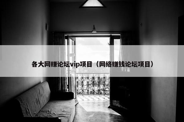 各大网赚论坛vip项目（网络赚钱论坛项目）