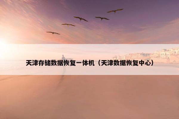 天津存储数据恢复一体机（天津数据恢复中心）