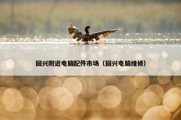 回兴附近电脑配件市场（回兴电脑维修）