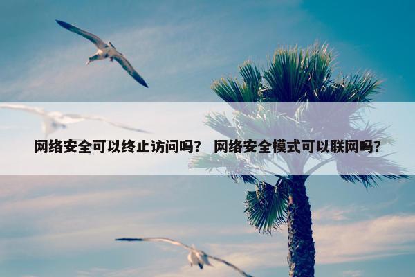 网络安全可以终止访问吗？ 网络安全模式可以联网吗？