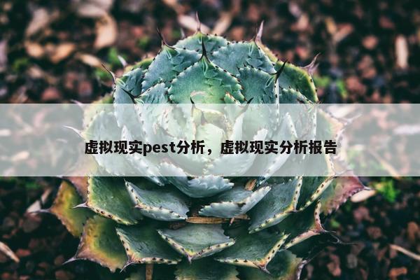 虚拟现实pest分析，虚拟现实分析报告