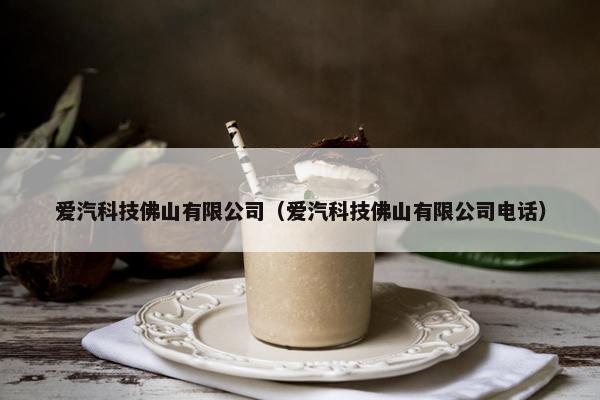 爱汽科技佛山有限公司（爱汽科技佛山有限公司电话）